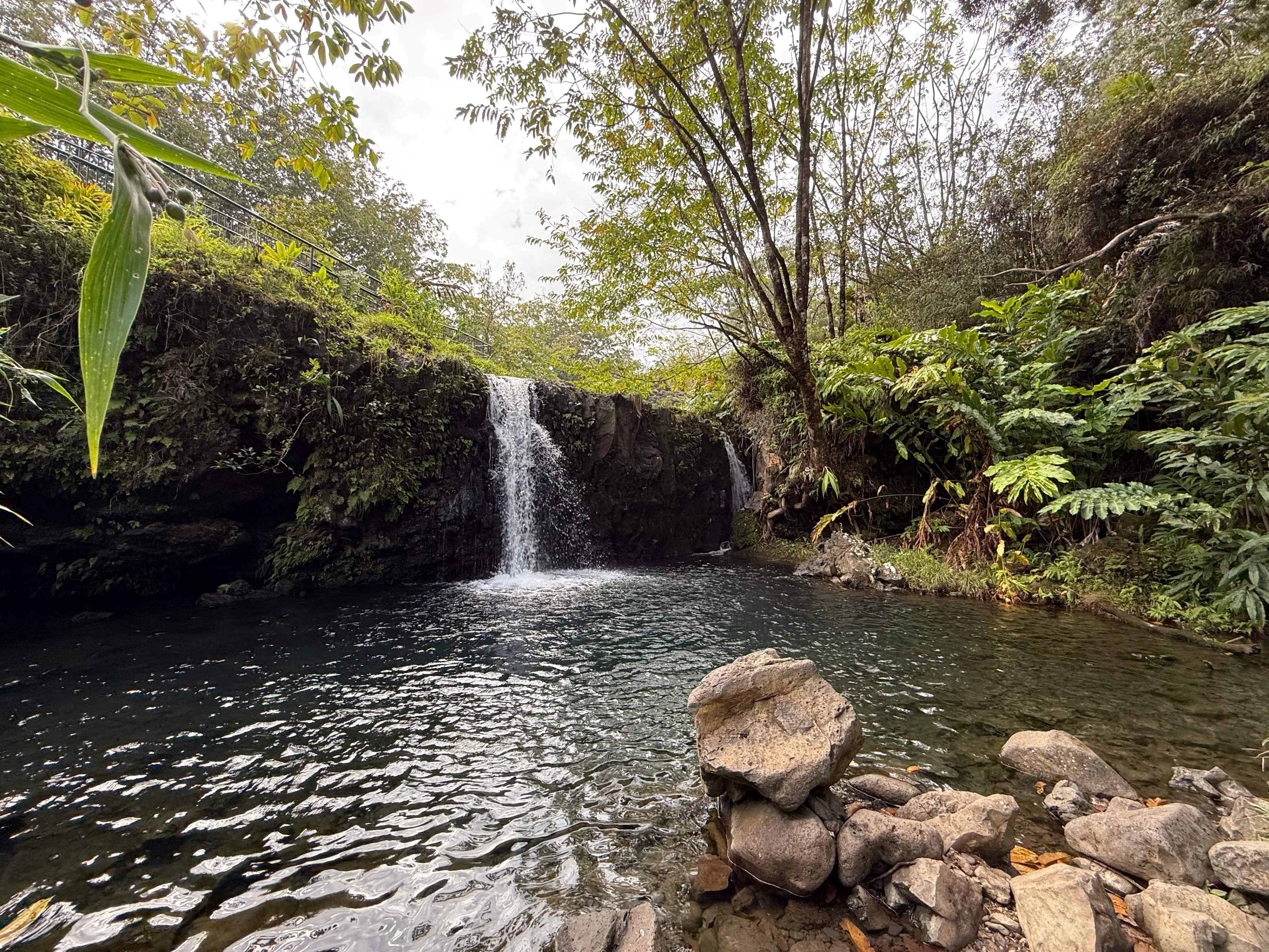 Road to Hana: Why a Tour with Hana and Beyond Was the Perfect Move