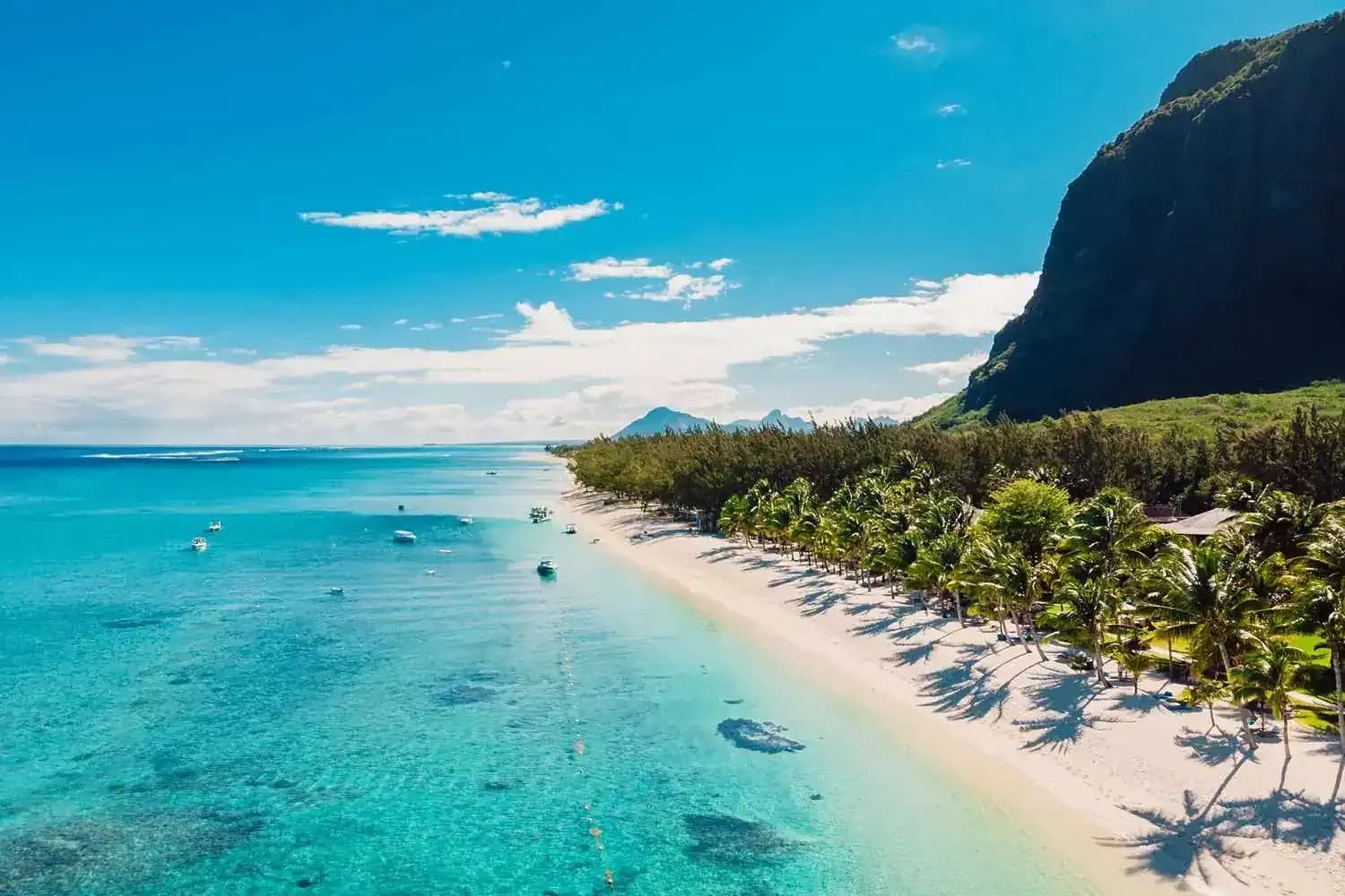 Tropical Beach