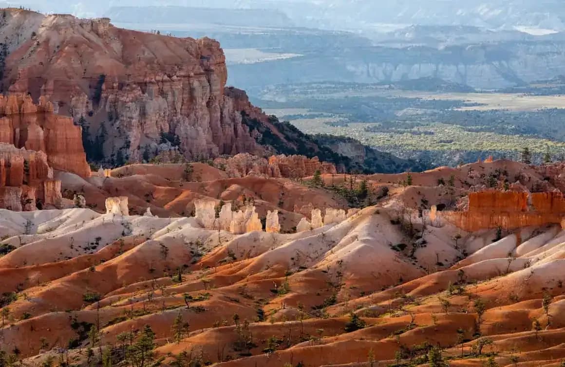 Utah's Expert Planners for