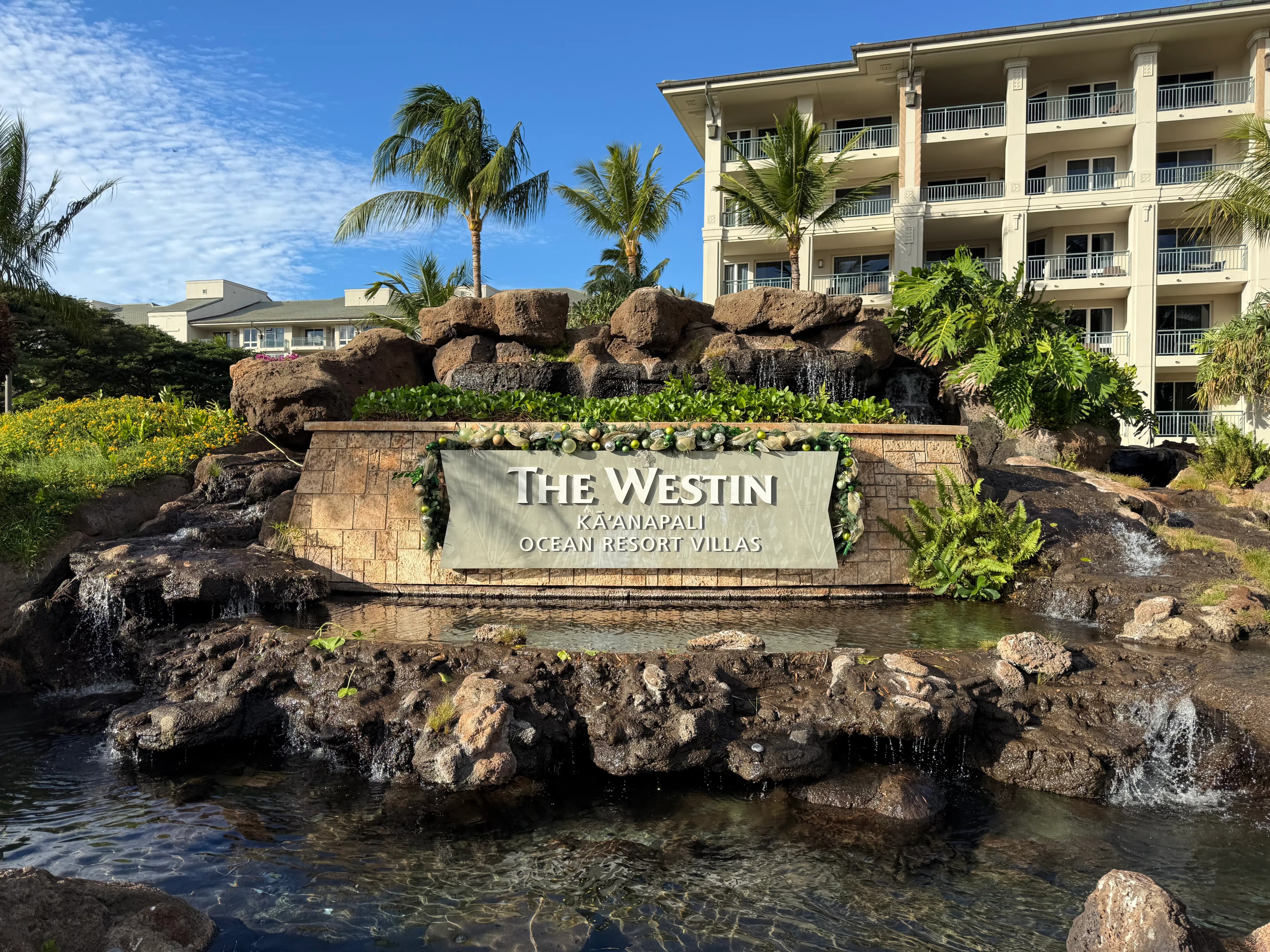 Westin Ka'anapali Villas: Studio Life and Mid-December Whales
