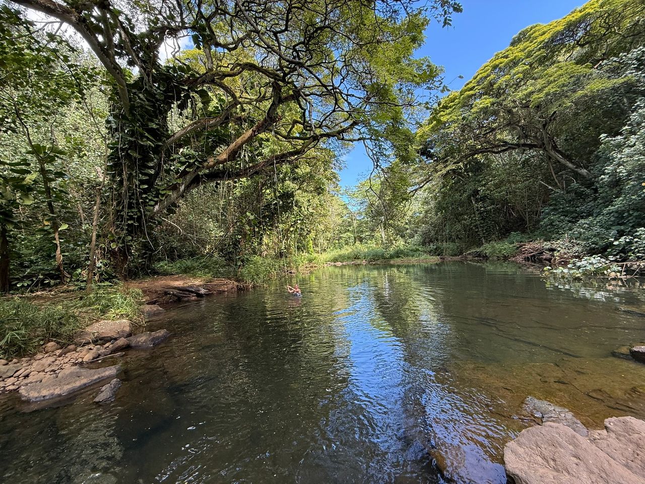 Rope Swing at the second waterfall
