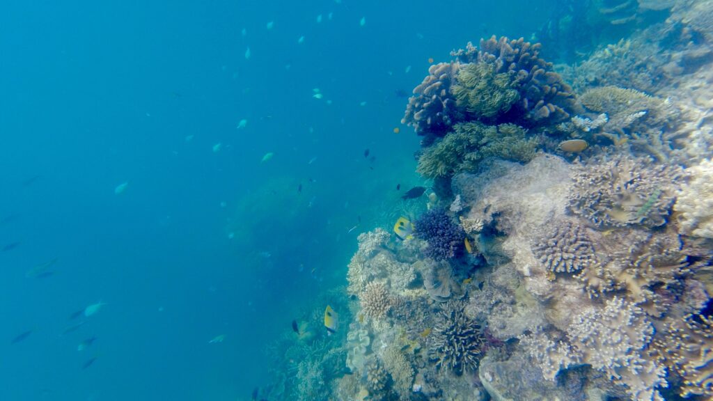 Great Barrier Reef